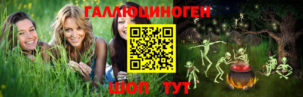 Псилоцибиновые грибы Psilocybe  Вход с VPN  Холмск 