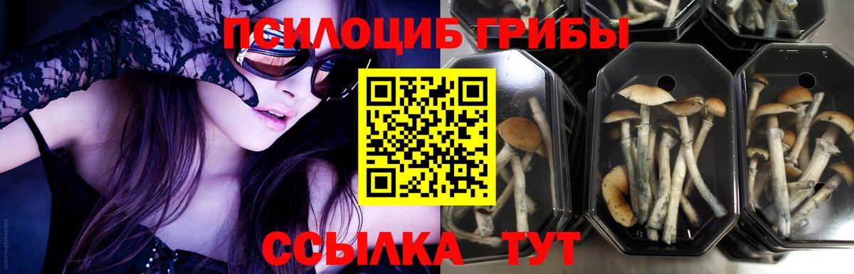 Галлюциногенные грибы мицелий Холмск